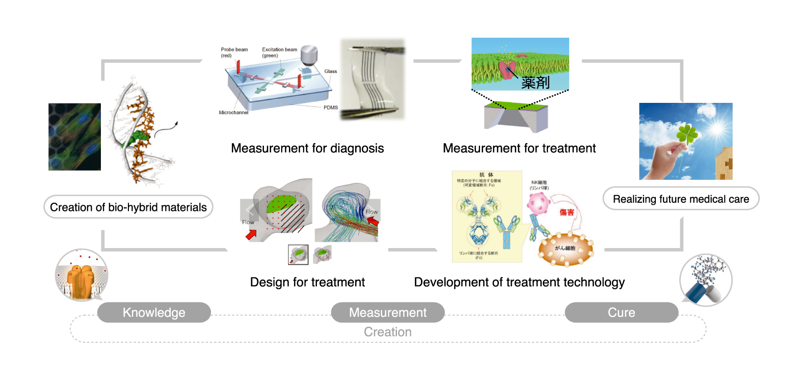 The Biomaterials project concept